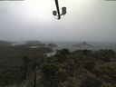./images/calvert/lookout/20210604/lookout20210604_122501.jpg