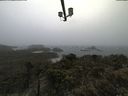 ./images/calvert/lookout/20210604/lookout20210604_123501.jpg