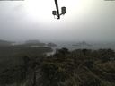 ./images/calvert/lookout/20210604/lookout20210604_124501.jpg