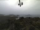./images/calvert/lookout/20210604/lookout20210604_132002.jpg
