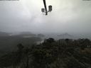 ./images/calvert/lookout/20210604/lookout20210604_134501.jpg