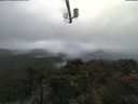 ./images/calvert/lookout/20210604/lookout20210604_135501.jpg
