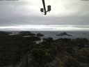./images/calvert/lookout/20210604/lookout20210604_155501.jpg