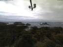 ./images/calvert/lookout/20210605/lookout20210605_050502.jpg