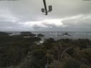 ./images/calvert/lookout/20210605/lookout20210605_101002.jpg