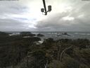 ./images/calvert/lookout/20210605/lookout20210605_101502.jpg