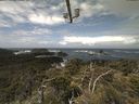 ./images/calvert/lookout/20210605/lookout20210605_114501.jpg