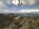 ./images/calvert/lookout/20210605/lookout20210605_115001.jpg