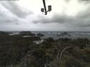 ./images/calvert/lookout/20210605/lookout20210605_154502.jpg