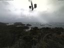 ./images/calvert/lookout/20210605/lookout20210605_162002.jpg