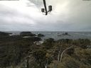 ./images/calvert/lookout/20210606/lookout20210606_132001.jpg