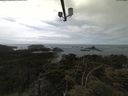 ./images/calvert/lookout/20210606/lookout20210606_135502.jpg