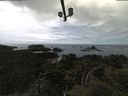 ./images/calvert/lookout/20210606/lookout20210606_140502.jpg