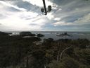 ./images/calvert/lookout/20210606/lookout20210606_151001.jpg