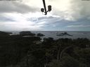 ./images/calvert/lookout/20210606/lookout20210606_153502.jpg