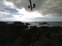 ./images/calvert/lookout/20210606/lookout20210606_171002.jpg