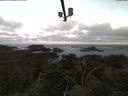 ./images/calvert/lookout/20210607/lookout20210607_052002.jpg