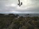 ./images/calvert/lookout/20210607/lookout20210607_082002.jpg
