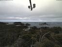 ./images/calvert/lookout/20210607/lookout20210607_083501.jpg