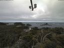 ./images/calvert/lookout/20210607/lookout20210607_084501.jpg