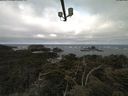 ./images/calvert/lookout/20210607/lookout20210607_085501.jpg