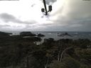./images/calvert/lookout/20210607/lookout20210607_151501.jpg