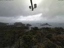 ./images/calvert/lookout/20210608/lookout20210608_100002.jpg
