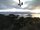 ./images/calvert/lookout/20210608/lookout20210608_211502.jpg