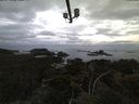 ./images/calvert/lookout/20210609/lookout20210609_050502.jpg