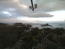 ./images/calvert/lookout/20210609/lookout20210609_055001.jpg