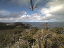 ./images/calvert/lookout/20210609/lookout20210609_101001.jpg