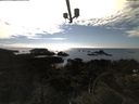 ./images/calvert/lookout/20210609/lookout20210609_171502.jpg