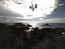 ./images/calvert/lookout/20210609/lookout20210609_175502.jpg