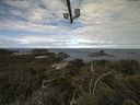 ./images/calvert/lookout/20210610/lookout20210610_092502.jpg