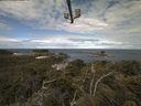 ./images/calvert/lookout/20210610/lookout20210610_093502.jpg