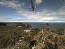 ./images/calvert/lookout/20210610/lookout20210610_105001.jpg
