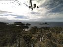 ./images/calvert/lookout/20210610/lookout20210610_142001.jpg