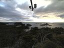 ./images/calvert/lookout/20210610/lookout20210610_202001.jpg