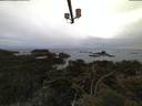 ./images/calvert/lookout/20210611/lookout20210611_050502.jpg