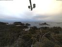 ./images/calvert/lookout/20210611/lookout20210611_053501.jpg