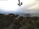 ./images/calvert/lookout/20210611/lookout20210611_054001.jpg