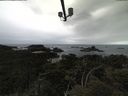 ./images/calvert/lookout/20210611/lookout20210611_085002.jpg