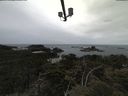 ./images/calvert/lookout/20210611/lookout20210611_091001.jpg