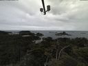 ./images/calvert/lookout/20210611/lookout20210611_094501.jpg