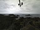./images/calvert/lookout/20210611/lookout20210611_100501.jpg