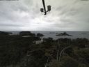 ./images/calvert/lookout/20210611/lookout20210611_101001.jpg