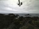 ./images/calvert/lookout/20210611/lookout20210611_102001.jpg