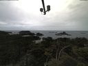 ./images/calvert/lookout/20210611/lookout20210611_103502.jpg