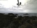 ./images/calvert/lookout/20210611/lookout20210611_105002.jpg