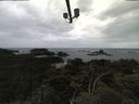 ./images/calvert/lookout/20210611/lookout20210611_111501.jpg